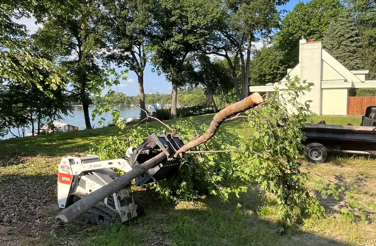 Compact track loader with a grapple carrying a cut tree limb on a lakeside lot