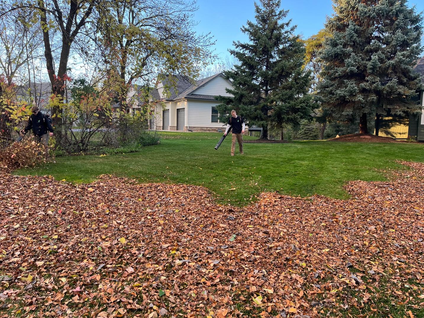 Spring and Fall Yard Cleanup