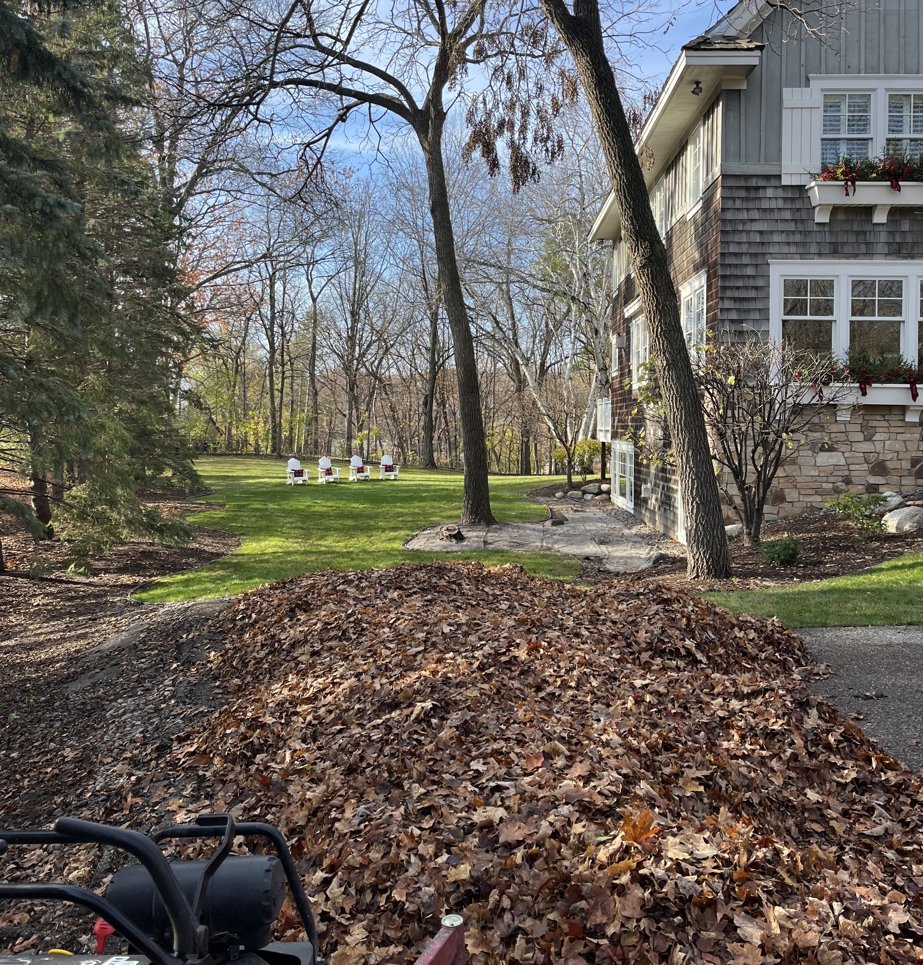 Pristine yard after seasonal cleanup