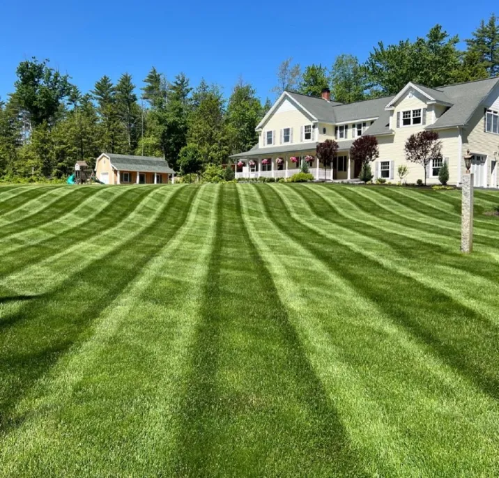Targeted Lawn Fertilization and Weed Control