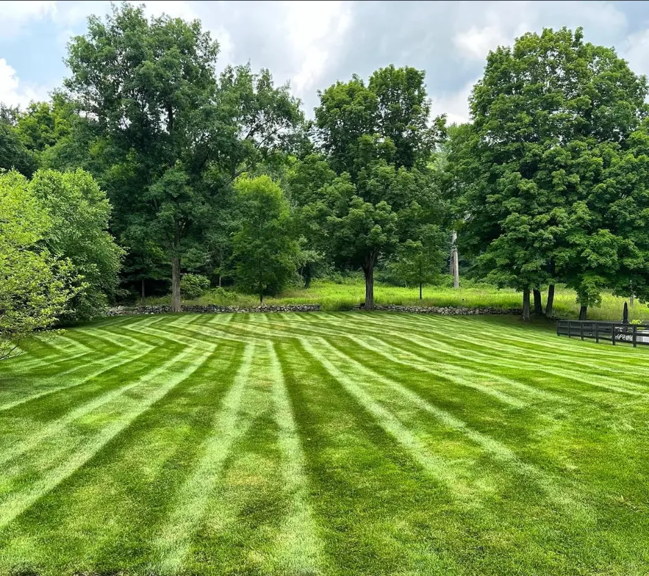 Healthy Lake Minnetonka Lawn
