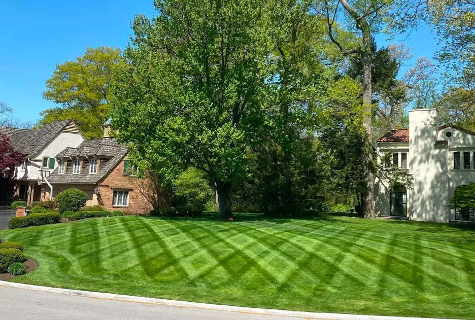 Perfectly striped lawn showing professional mowing results