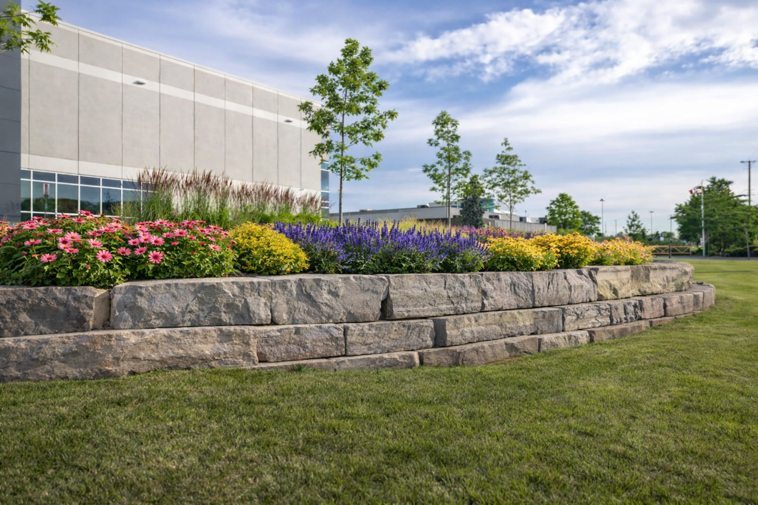 Landscape design meeting on site