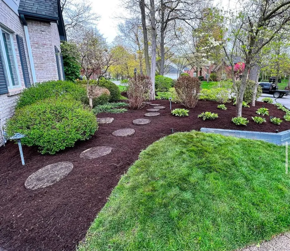 Clean, professionally edged landscape bed with fresh mulch