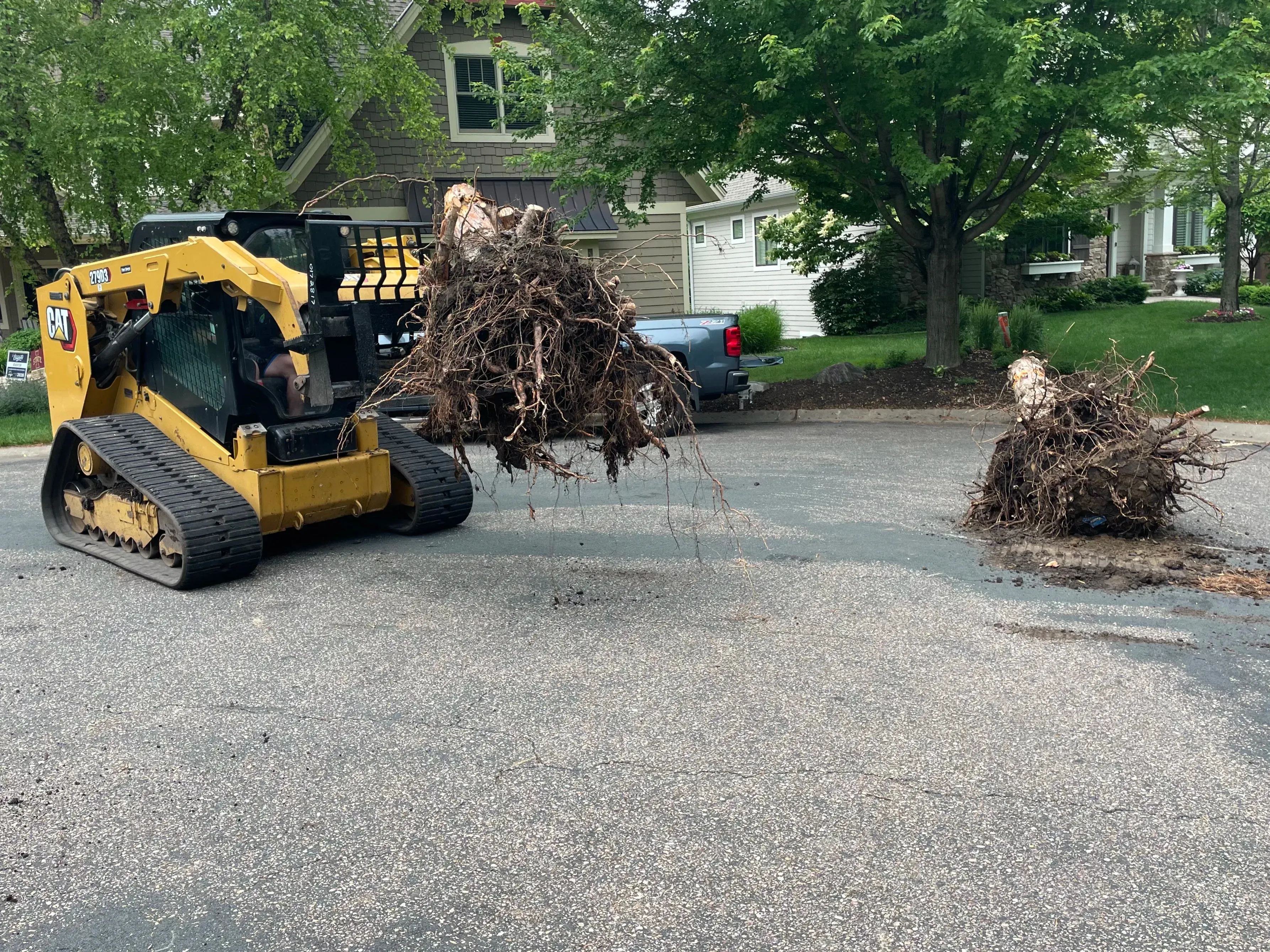 Cat 279 performing complete root ball removal in the Lake Minnetonka area
