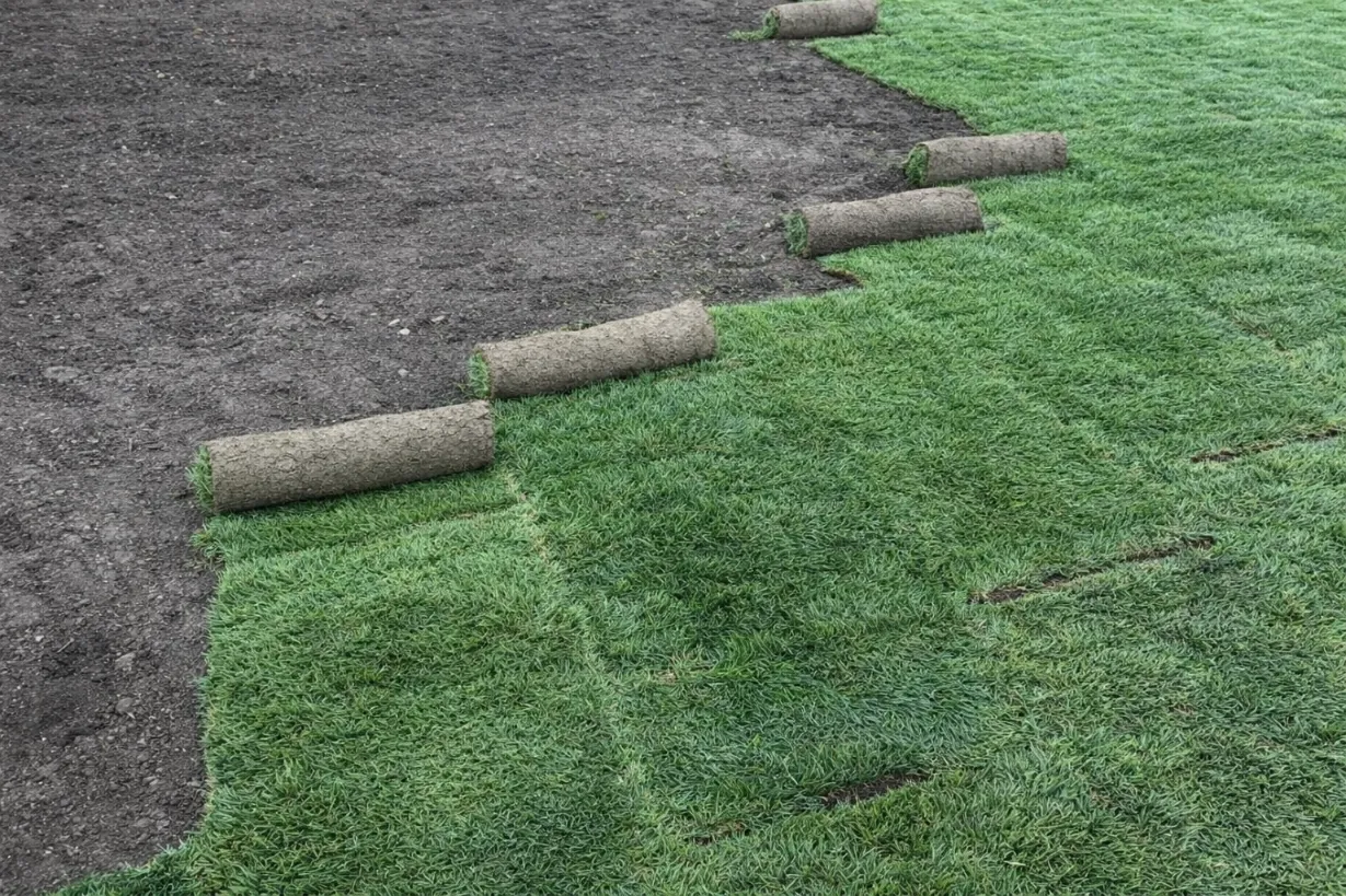 Farm-Fresh Sod Installation