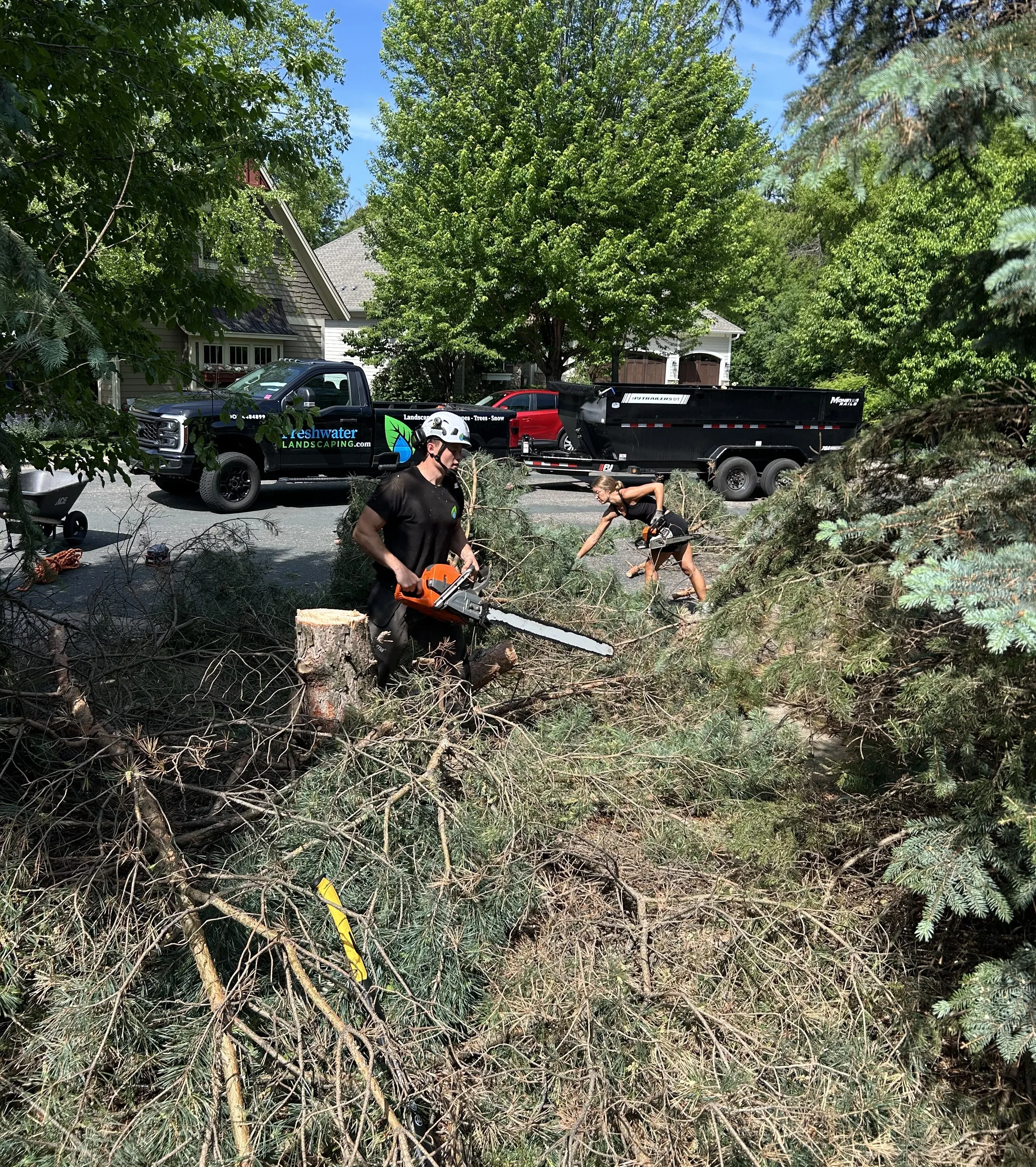 Professional arborist executing a hazardous tree removal in Chanhassen