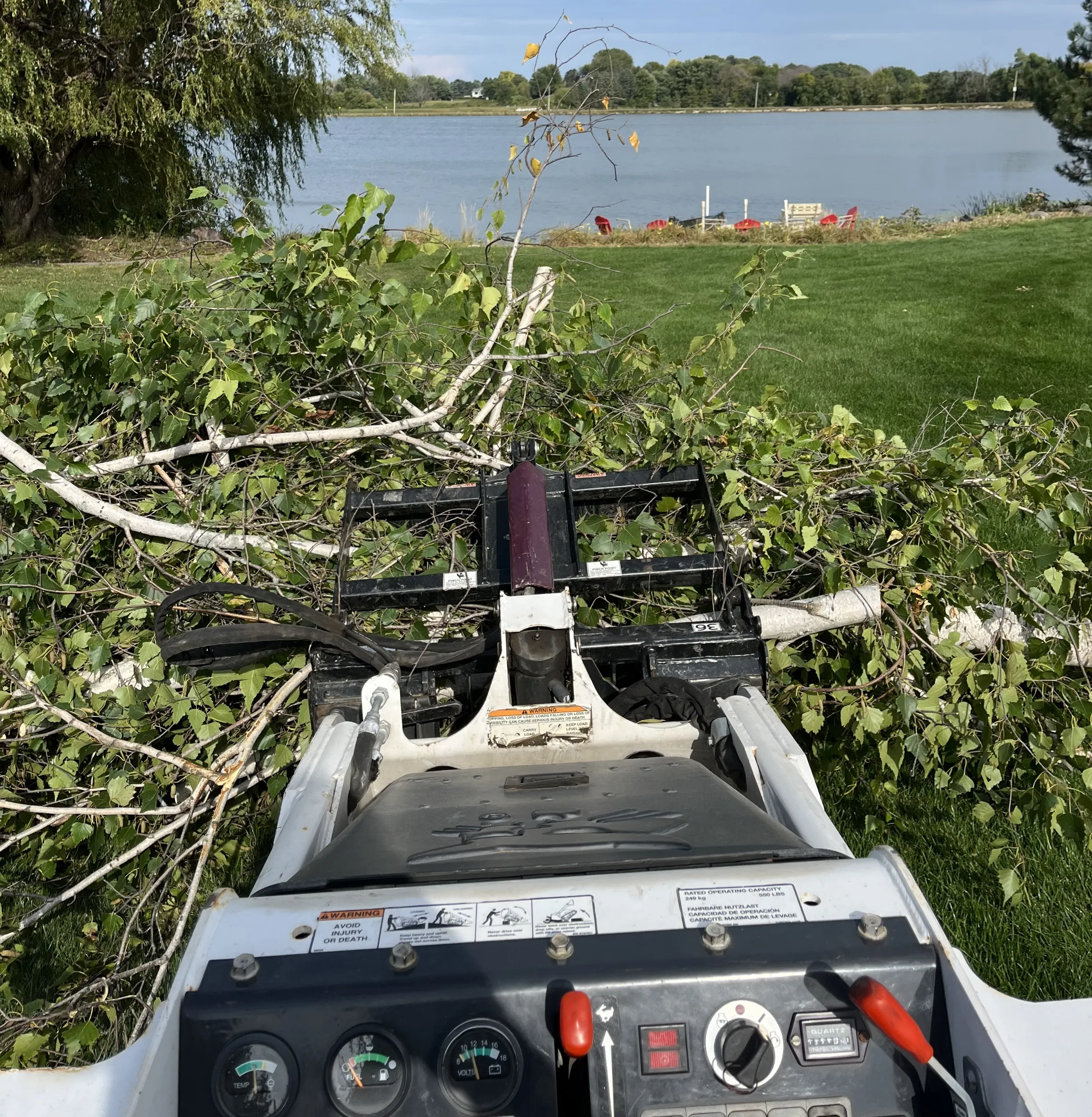 Professional arborist rigging gear, pulleys, and heavy duty chainsaws