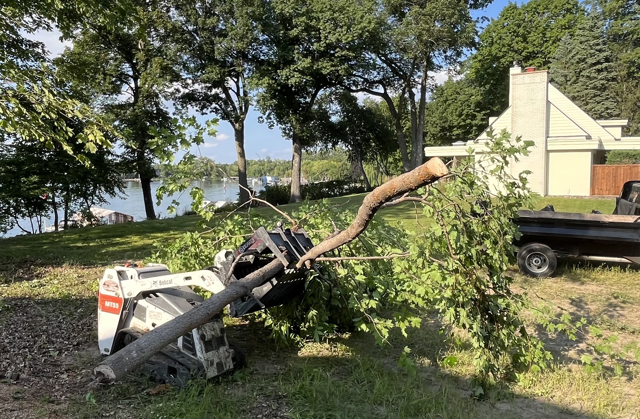 Safe tree removal and site clearing