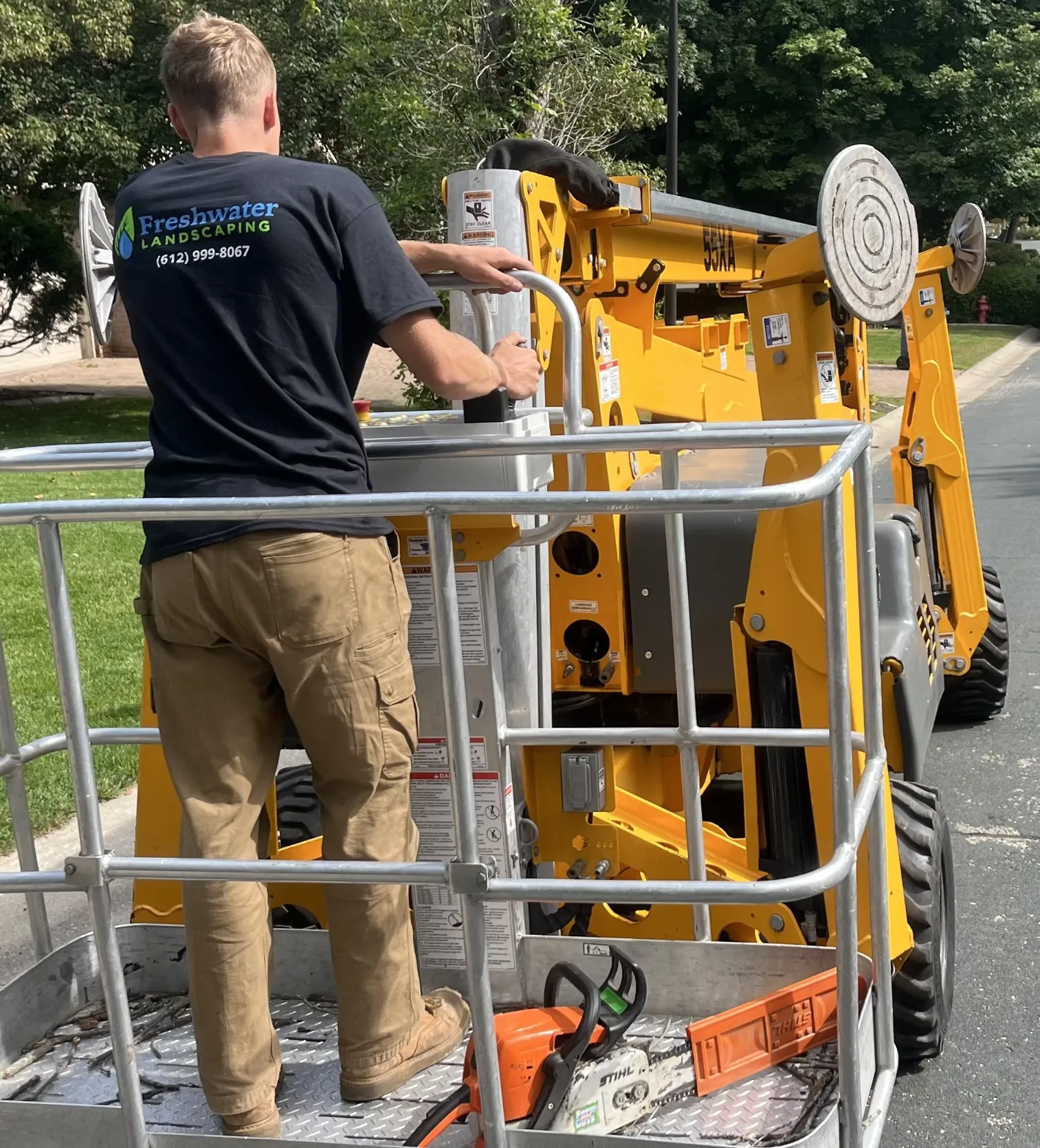 Healthy, disease-free landscape featuring perfectly manicured shrubs