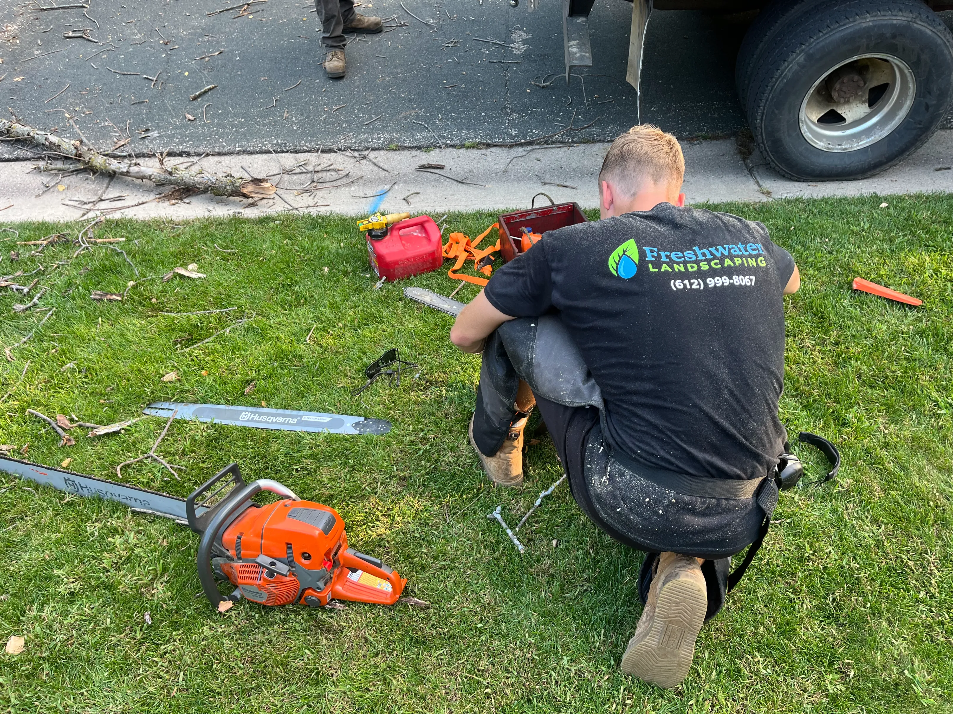 Freshwater Landscaping professional crew executing clean branch-collar cuts