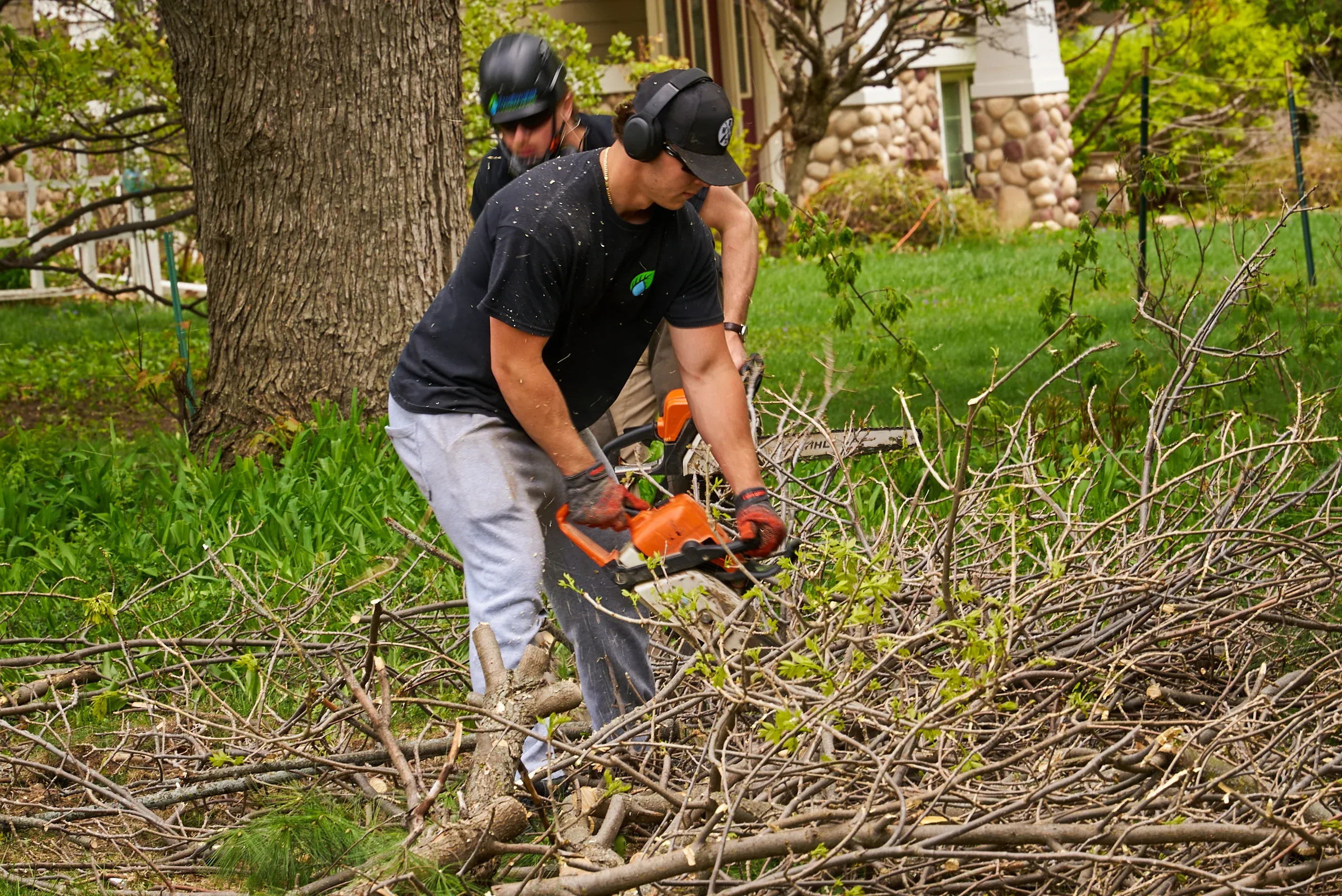 Clean, debris-free yard after professional hazard tree removal